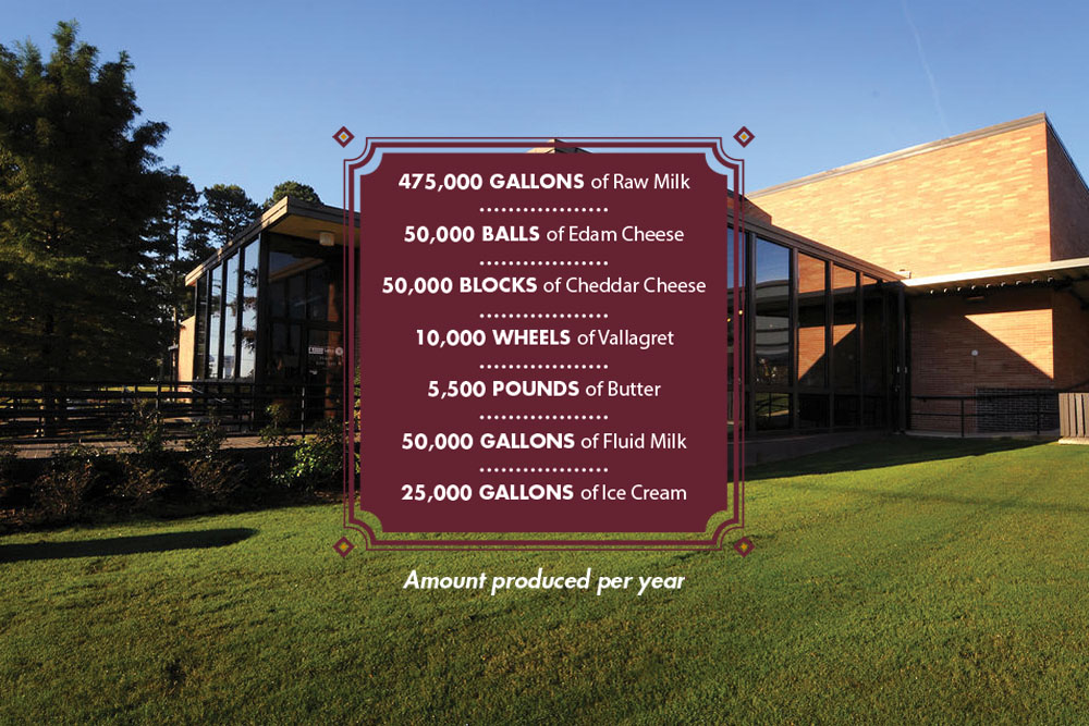 By the Numbers